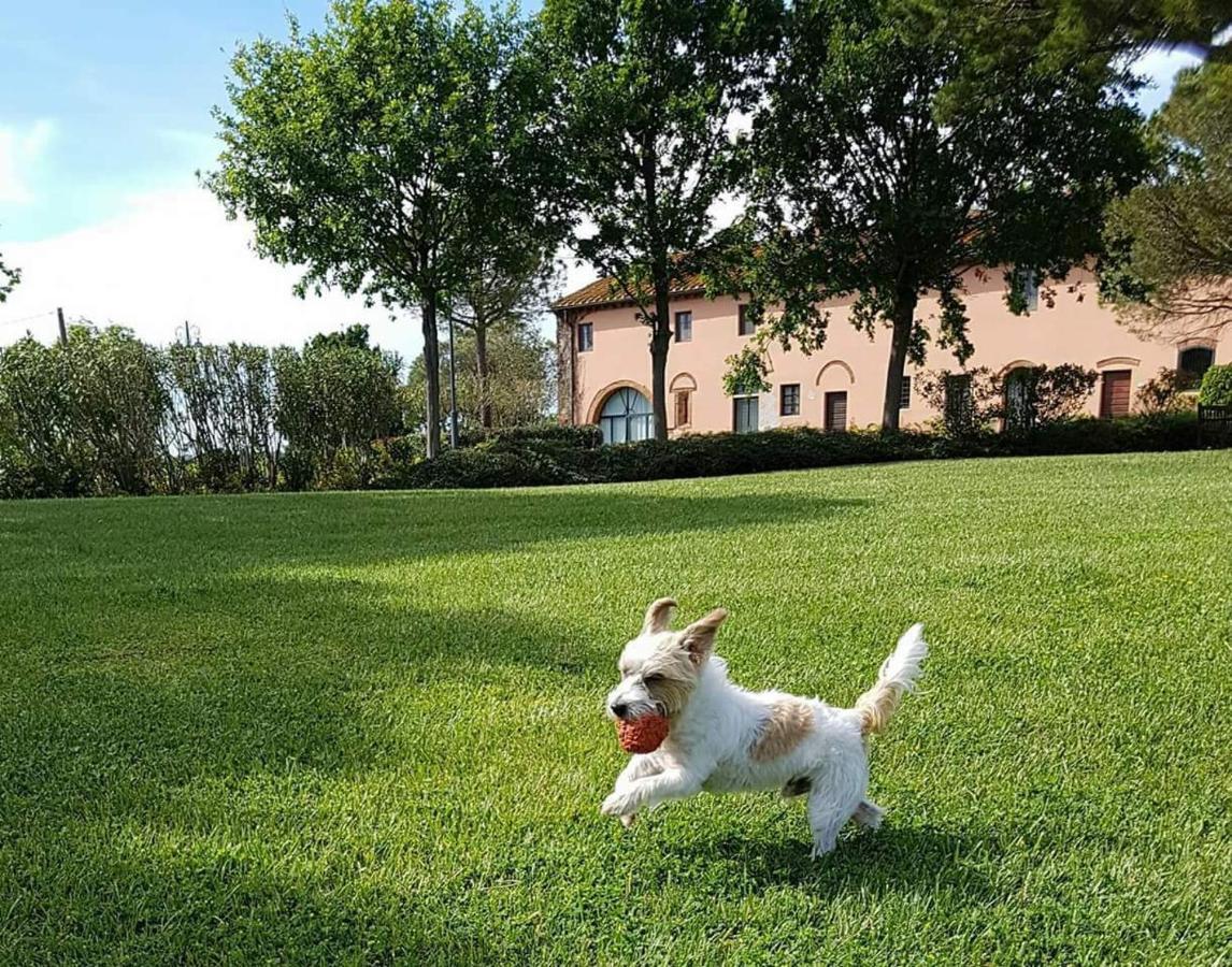 La Magnifica B&B Fauglia Eksteriør bilde
